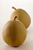 Angelys pears