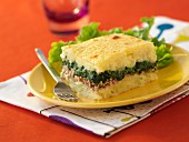 Tuna and spinach gratin with mashed potato topping