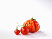 Drei verschiedene Tomatensorten