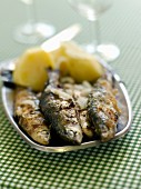 Grilled sardines with garlic and oregano