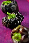 Black peppers