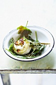 Hot goat's cheese with fig leaves