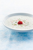 Tapioca pudding with pistachios and raspberries