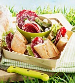 Picnic with dried sausage sandwiches