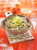 Salat mit Sojasprossen, Linsen, Radieschen, Schneckenklee und Zucchini