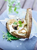 Landbrot mit geschmolzenem Käse, Geflügel und Pilzen