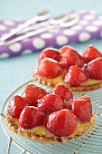 Strawberry tartlet