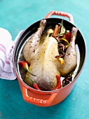 Guinea-fowl with spices and chili peppers