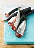 Raw gutted sardines