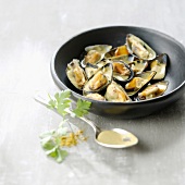 Curried mussels