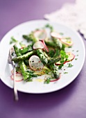 Asparagus and radish salad