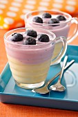 Blueberry-vanilla puddings