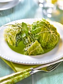 Cabbage leaves stuffed with whiting and sorrel, green parsley