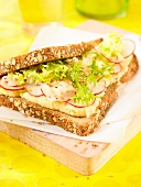 Hummus and radish sandwich