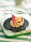 Grilled scallops with hummus
