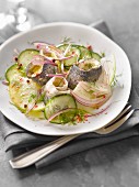Herring, cucumber, apple, red onion and dill salad
