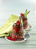 Chocolate mousse with raspberry macaroons