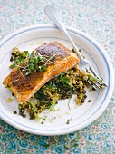 Grilled salmon with quinoa and lentils