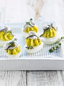 Hard-boiled eggs with anchovies