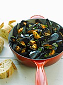 Mussels with fresh herbs