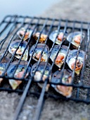 Mussels on the barbecue