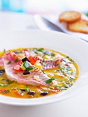 Minestrone with red mullet fillets