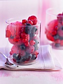 Raspberry sorbet with fresh summer fruit