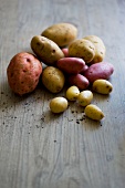 Selection of potatoes