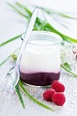 Raspberry puree yoghurt