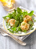 Corn lettuce and roasted scallop salad