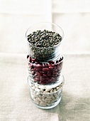Composition with dried beans