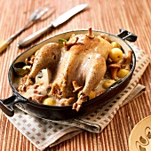Pheasant in creamy chanterelle sauce and Grenaille potatoes