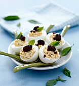Gefüllte hartgekochte Eier mit schwarzen Oliven der Sorte Nice und Basilikum