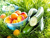 Apricots and cucumbers in the grass