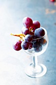 Red grapes in a glass