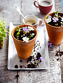 Chocolate and flower dessert served in flower pots