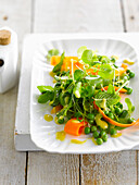 Brunnenkresse-Salat mit Mangodressing