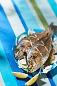 Grilled sea breams with spices and fennel