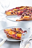 Apricot,quetsch plum,mirabelle plum and summer fruit tart