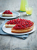 Redcurrant cheesecake