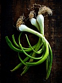 Still life with spring onions