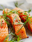 Pieces of salmon with fresh tarragon and pink peppercorns in wax paper before cooking