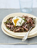 Lentil and diced bacon salad with a poached egg