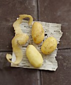 Drei Kartoffeln auf Zeitungspapier