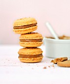 Speculoos gingerbread biscuit macaroons