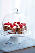 Chocolate-raspberry cupcakes under a glass dome