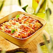 Thunfisch-Cannelloni