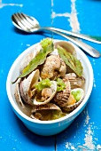 Dog cockle shellfish Nage with celeriac and olive oil