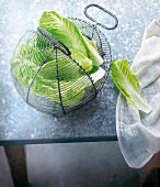 Salatblätter zum Trockenschleudern in einem Metallkorb