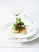 Roasted scallops in truffle oil and small fancy salad